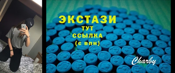 МДПВ Ельня