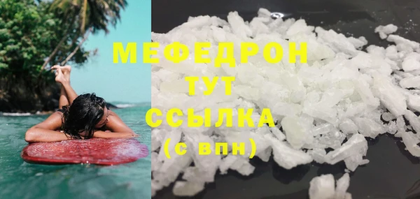 прущие грибы Елабуга