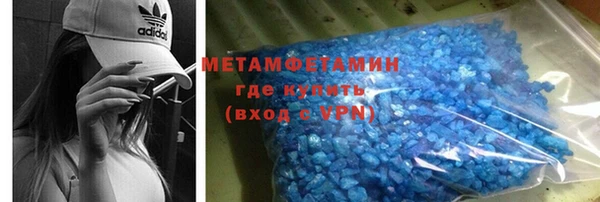 прущие грибы Елабуга