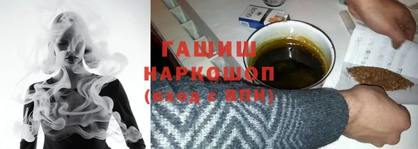 прущие грибы Елабуга