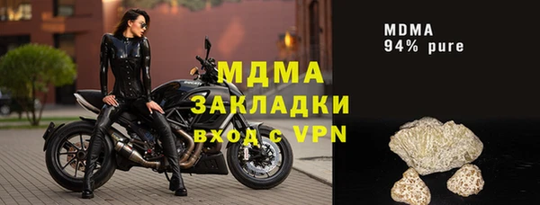 прущие грибы Елабуга