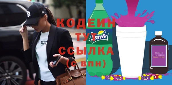 прущие грибы Елабуга