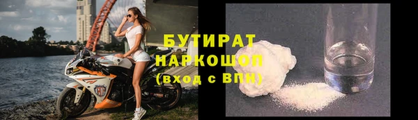 прущие грибы Елабуга