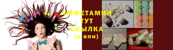 прущие грибы Елабуга