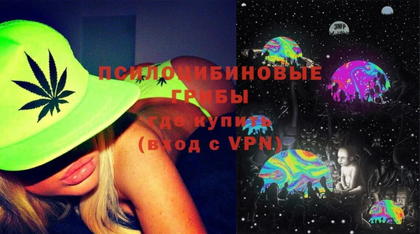 МДПВ Ельня