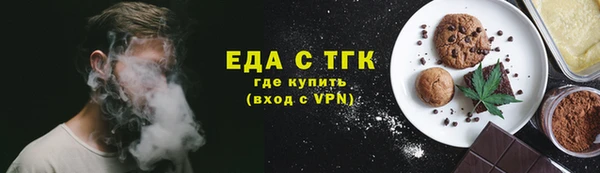 МДПВ Ельня