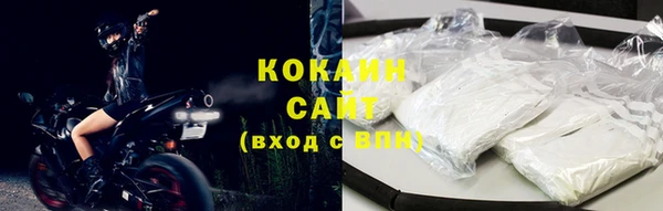 МДПВ Ельня