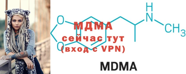 МДПВ Ельня