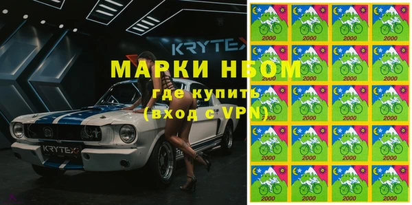 прущие грибы Елабуга