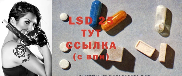 МДПВ Ельня