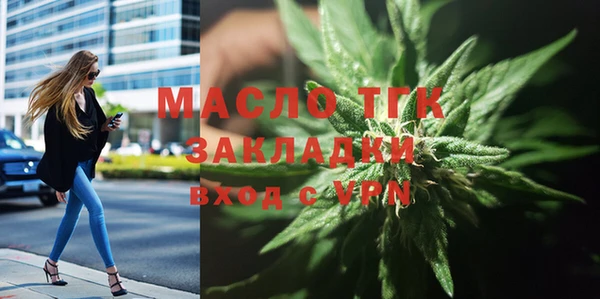 МДПВ Ельня