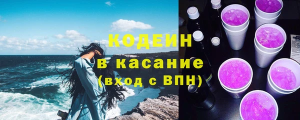 МДПВ Ельня